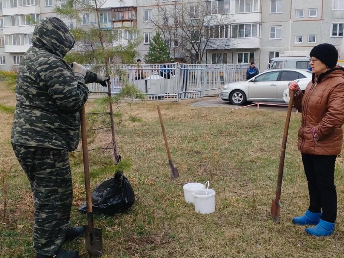 В микрорайоне Крутая Горка жители навели чистоту в сквереп «Моя мечта» и высадили деревья.