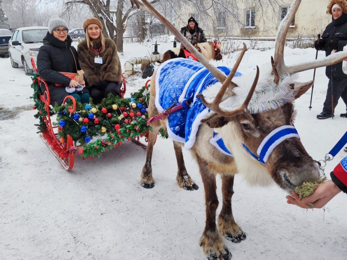 Русская печка, космоелка и северный олень: в Омске продолжается смотр-конкурс «Лучшая дворовая Ёлка».