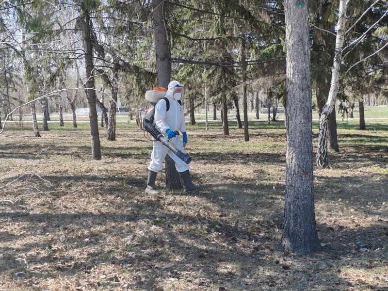 В Омске начнут осеннюю обработку от клещей.