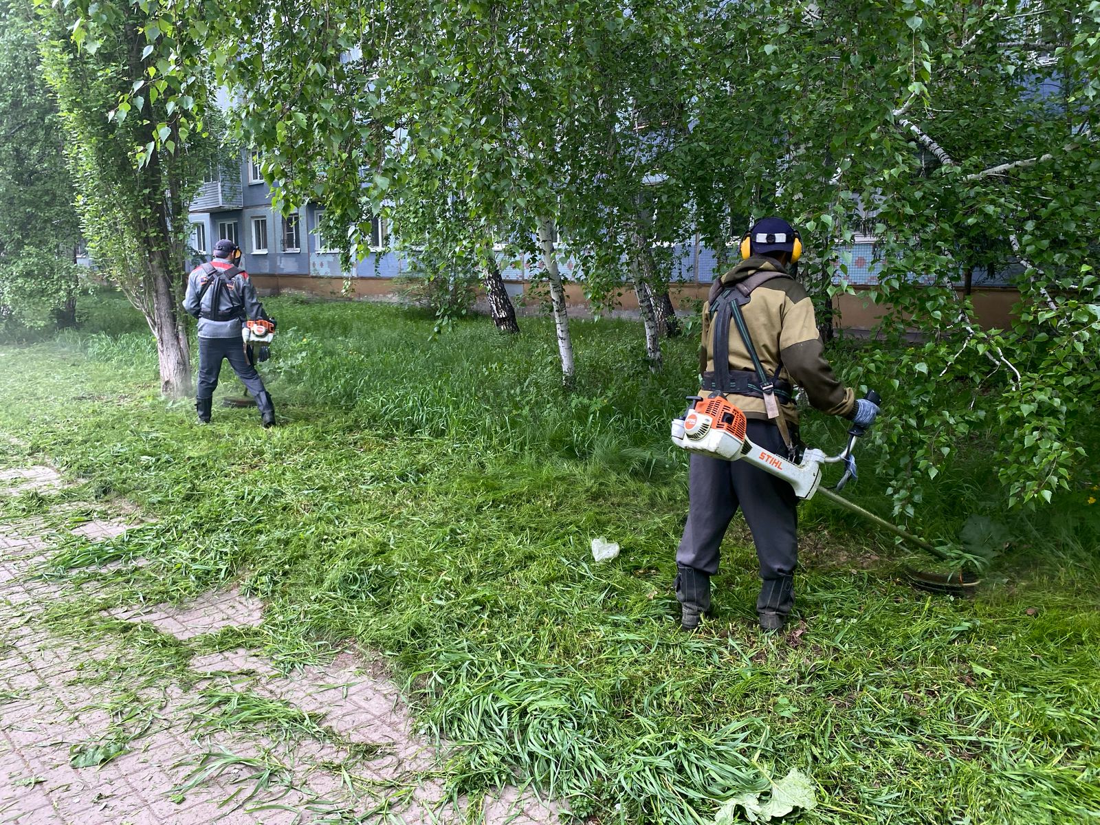 Управляющие компании Левобережья активизировали работу по покосу травы на придомовых территориях.