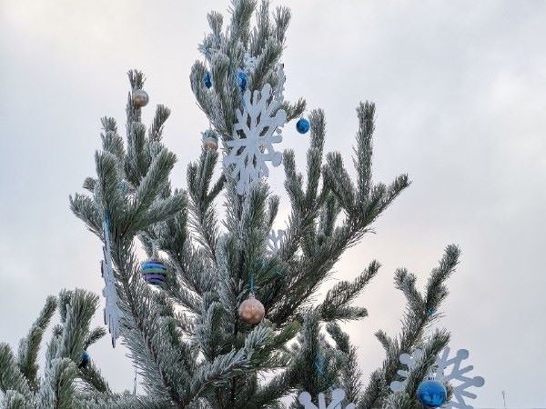 Сергей Шелест приглашает омичей принять участие в конкурсе на лучшее новогоднее оформление своего дома.