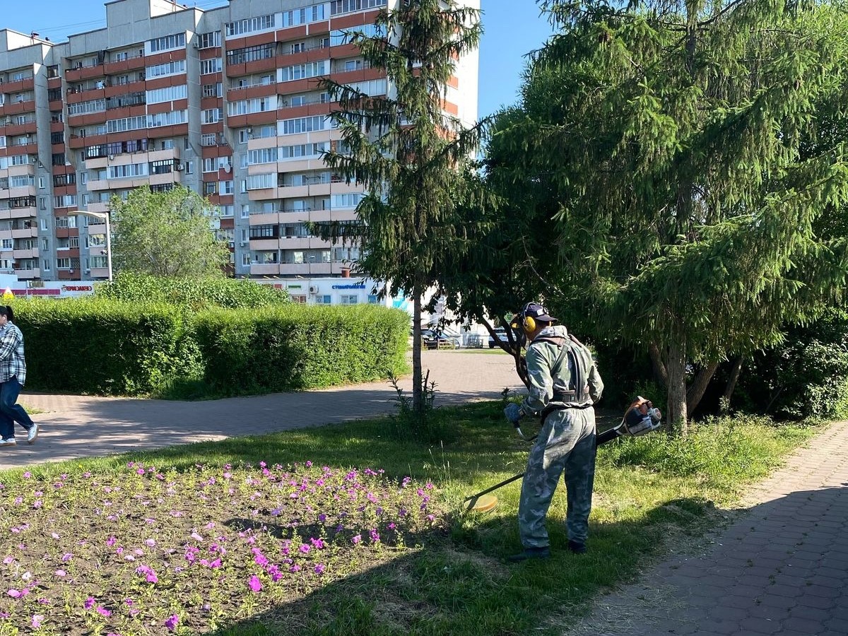 Управляющим компаниям Левобережья напоминают о необходимости своевременно выполнять покос травы во дворах.