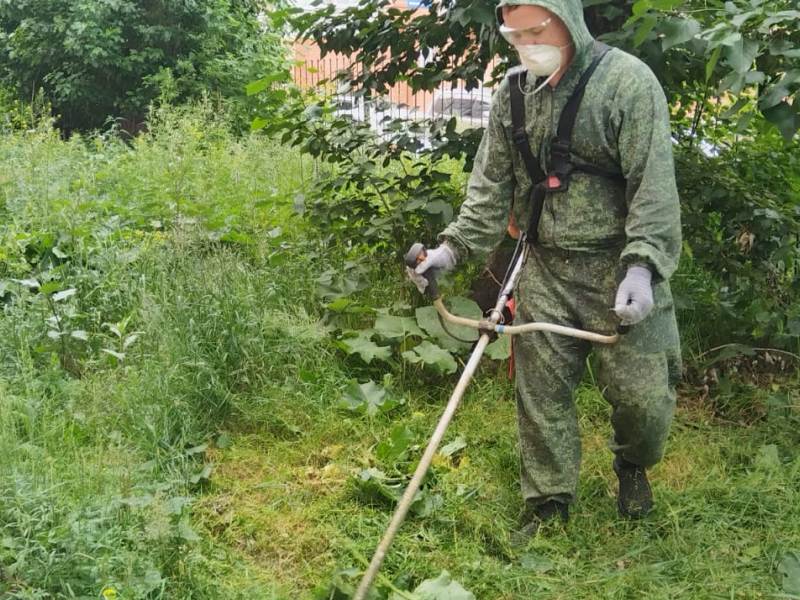 В Центральном округе управляющие организации с начала сезона скосили траву на 513 территориях.