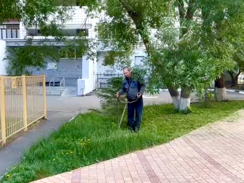 Сергей Шелест напомнил предпринимателям о необходимости косить траву на прилегающих территориях.