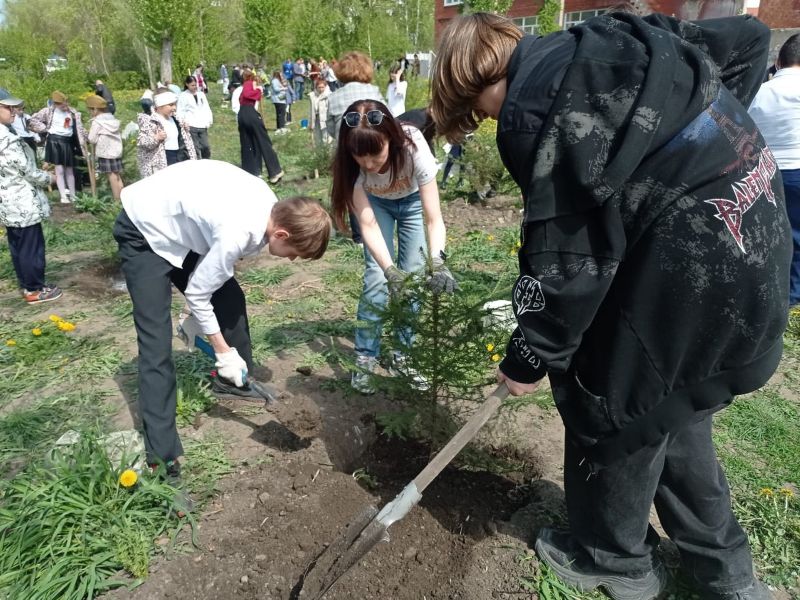 В школе № 38 присоединились к международной акции «Сад Памяти».