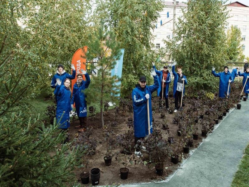 В новом сквере ОмГТУ волонтеры озеленили и благоустроили территорию.