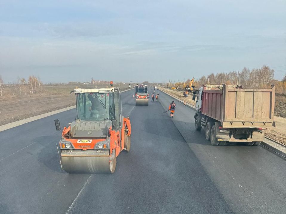 В Омске вдоль обновленного Сыропятского тракта высадили первые деревья.