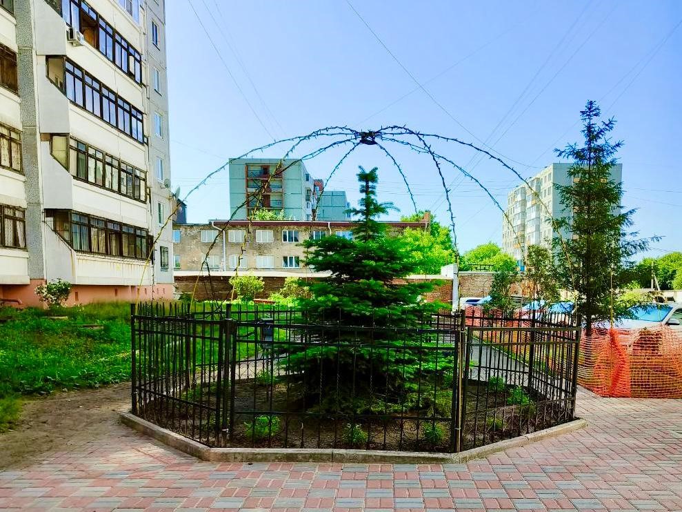Жители Октябрьского округа самостоятельно благоустроили дворовую территорию.