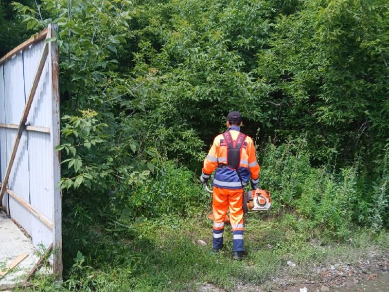 На территории Ленинского округа ведутся мероприятия по уничтожению наркосодержащих растений.