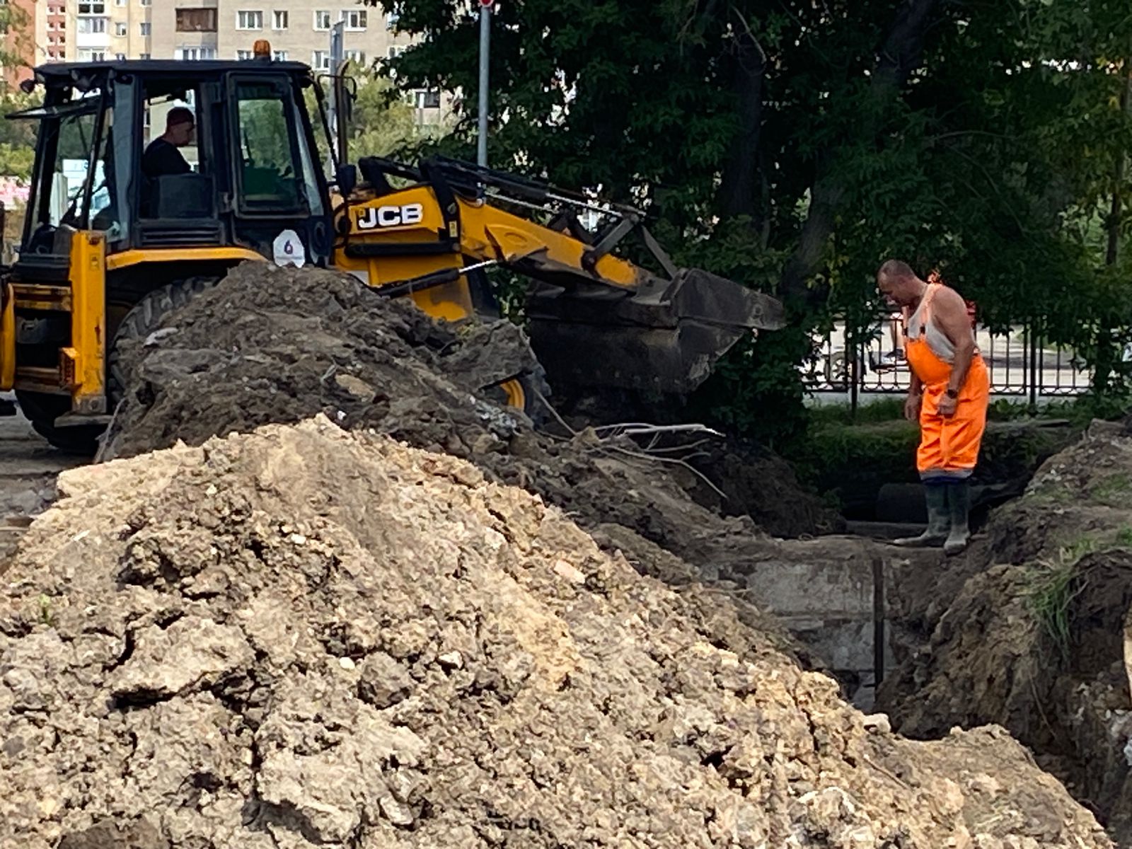 Фото: Светлана Карезина.
