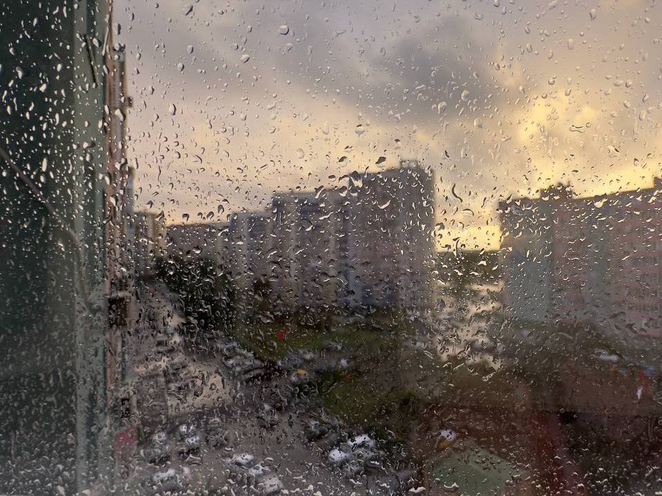 Фото: Полина Юхлина.