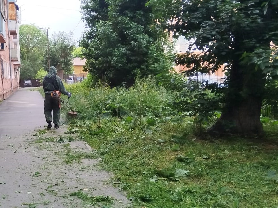 В Центральном округе ведется покос травы.