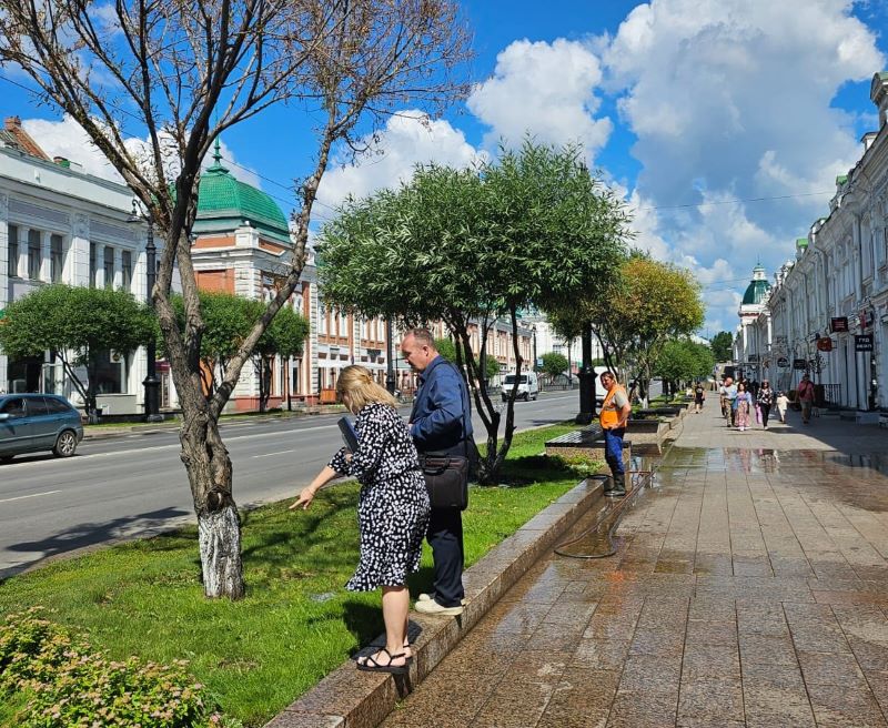 Вдоль центральных улиц города обновят зеленые насаждения.