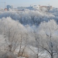 Земля под ИЖС в Кировском округе.