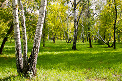 Земля для льготников.