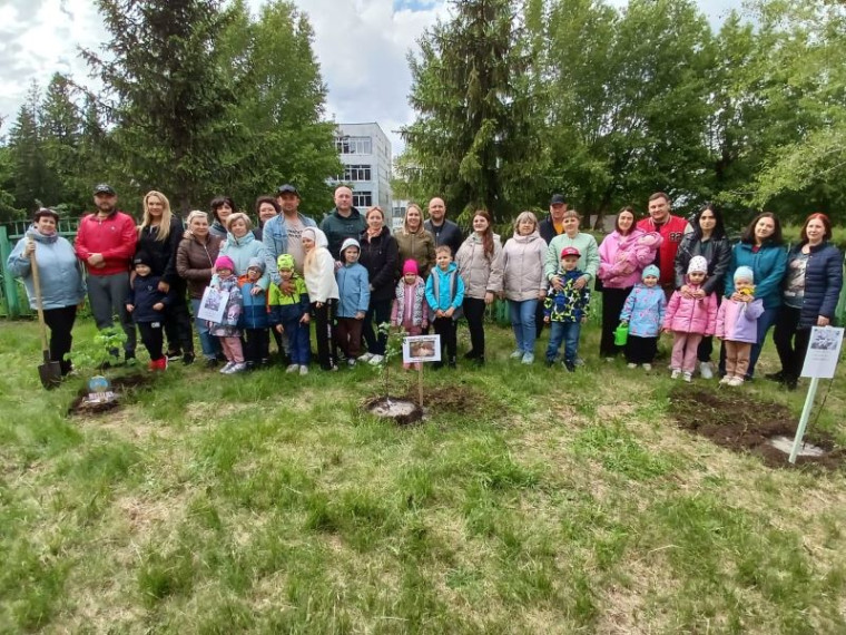 Аллея семьи заложена в омском детском саду. Аллея семьи заложена в омском детском саду.