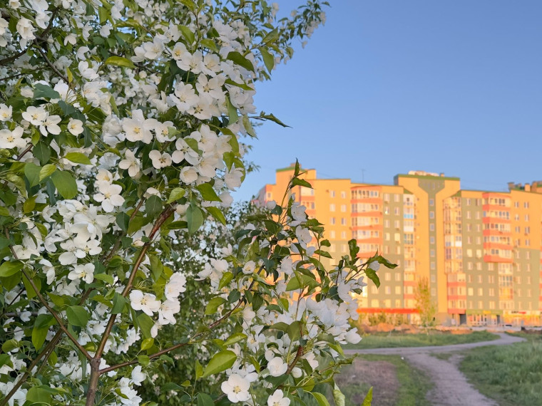 В Омской области до 3 июня сохранятся ночные заморозки.