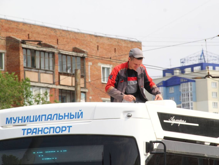 Фото: Владимир Казионов. Фото: Владимир Казионов.
