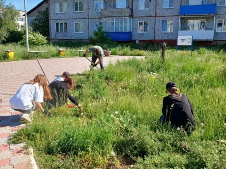 Омские КТОСы совместно со школьниками приступили к реализации проекта «Трудовое лето – 2024».