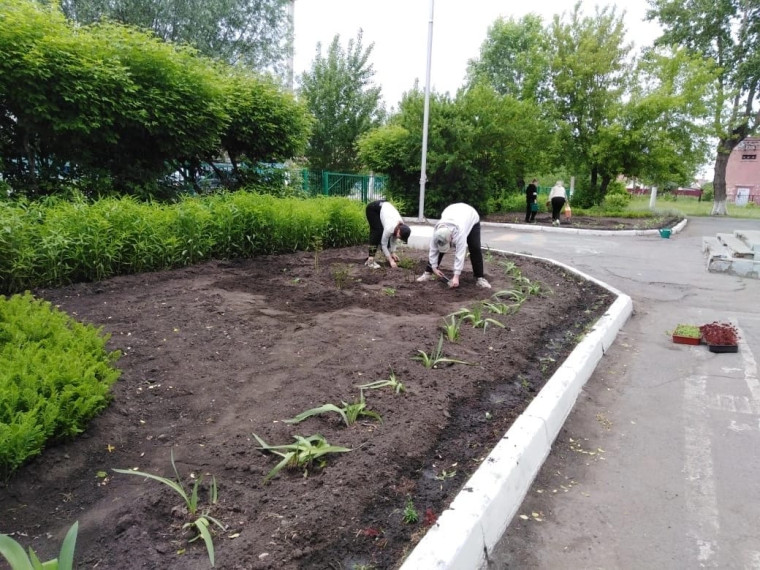 В Ленинском округе поощрили лучших представителей трудовых объединений старшеклассников. В Ленинском округе поощрили лучших представителей трудовых объединений старшеклассников.