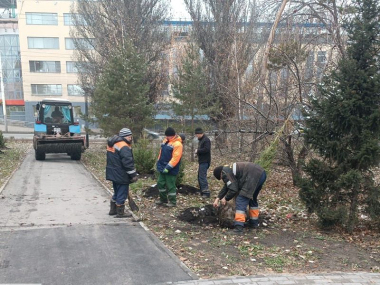 Муниципальные агрономы продолжают осенние посадки. Муниципальные агрономы продолжают осенние посадки.