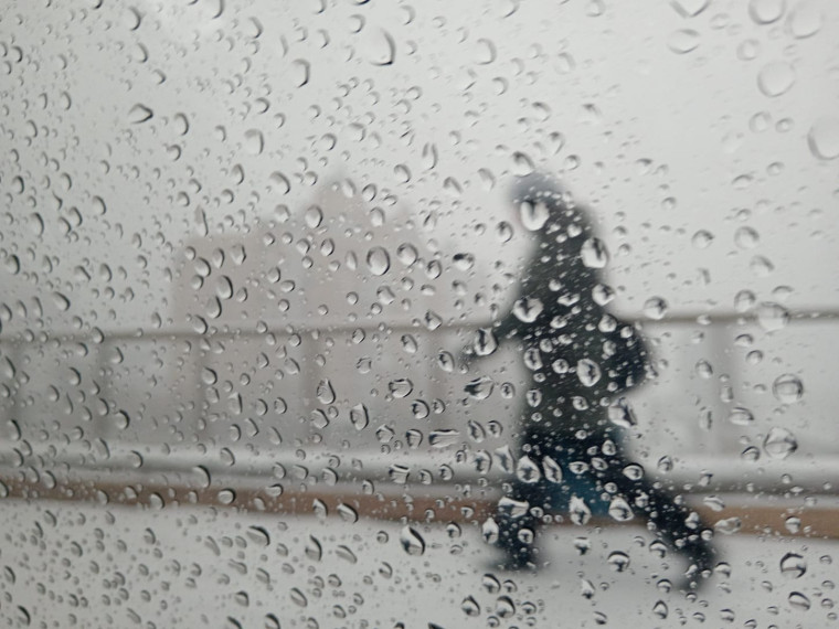 Фото: Полина Юхлина. Фото: Полина Юхлина.