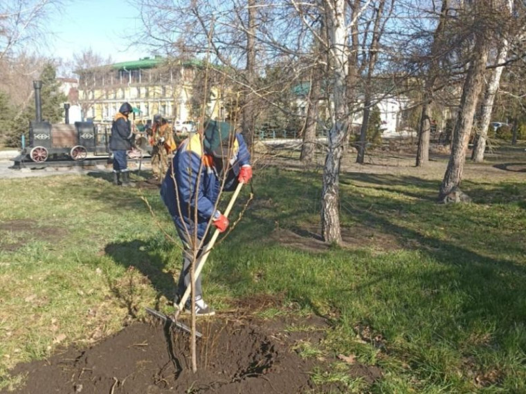 Сегодня на Набережной Тухачевского сотрудники Управления дорожного хозяйства и благоустройства приступили к высадке деревьев и кустарников. Сегодня на Набережной Тухачевского сотрудники Управления дорожного хозяйства и благоустройства приступили к высадке деревьев и кустарников.