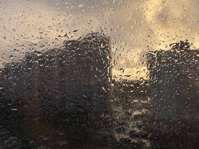 Фото: Полина Юхлина. Фото: Полина Юхлина.