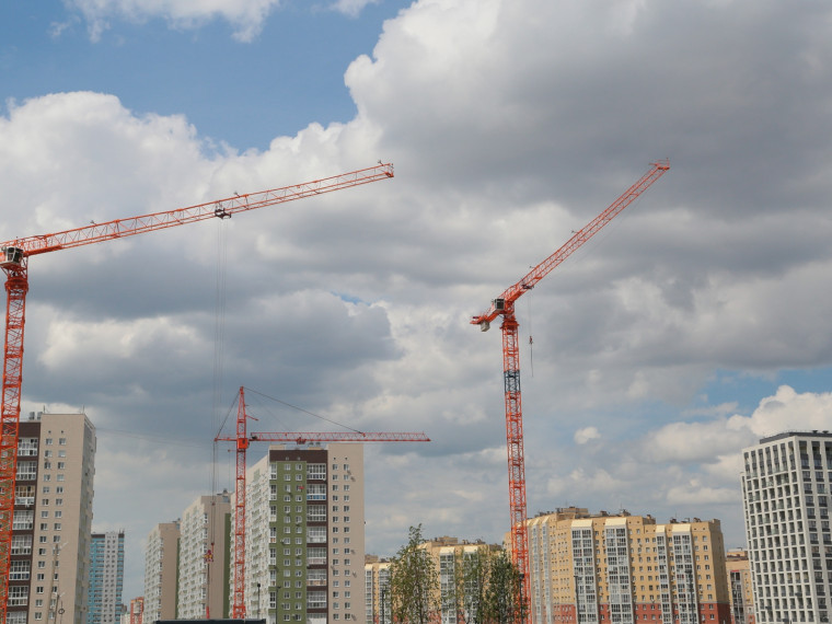 Фото: Владимир Казионов. Фото: Владимир Казионов.