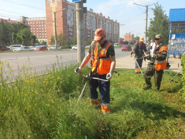 Мэр Омска: с начала летнего сезона в Омске на различных участках было скошено порядка 277 гектаров травы.
