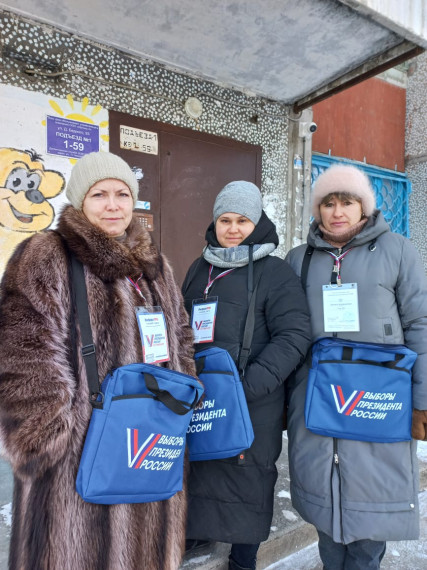 Обходчики посетили уже более 60 тысяч избирателей Ленинского округа.